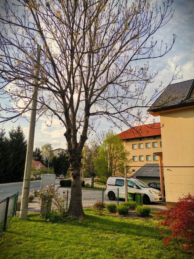 Apartma Vila Tara Prebold Exteriér fotografie