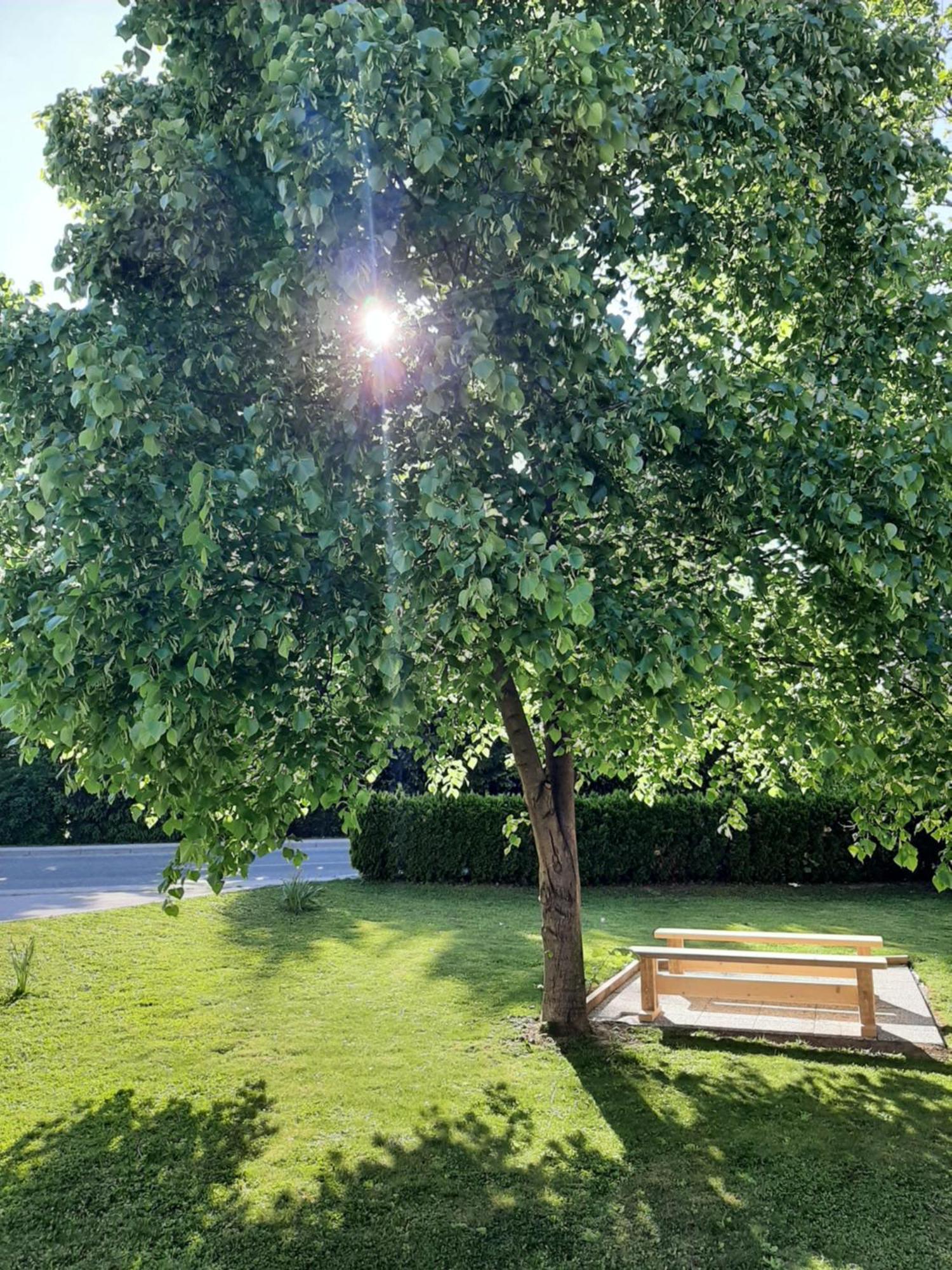 Apartma Vila Tara Prebold Exteriér fotografie