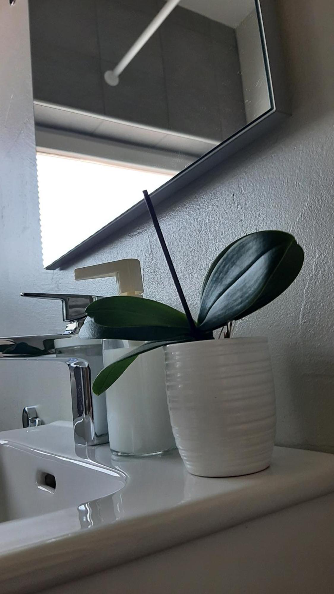 Apartma Vila Tara Prebold Exteriér fotografie